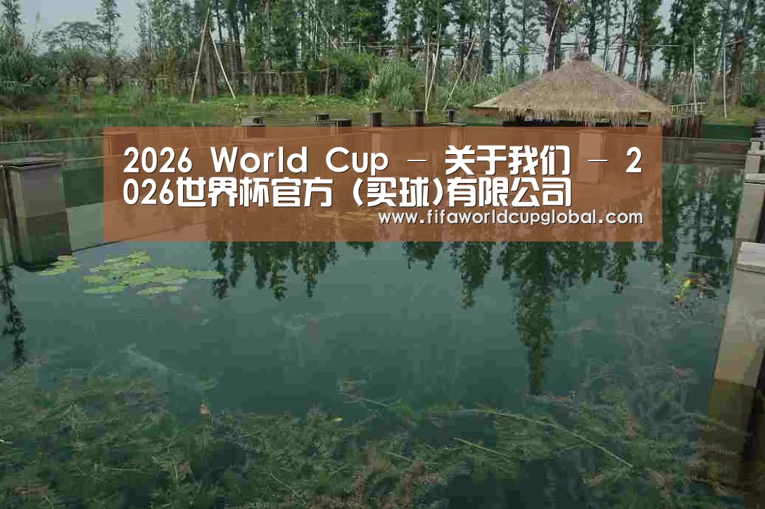 案例展示二