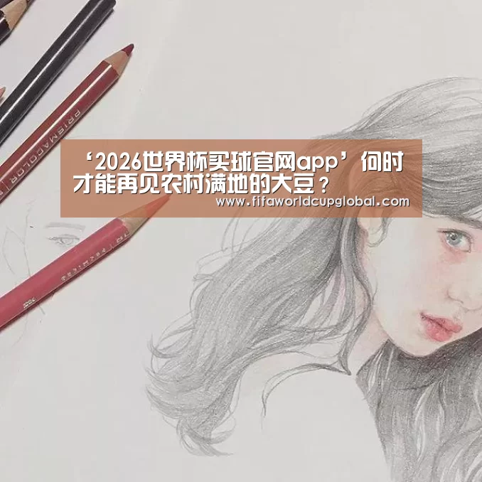 2026世界杯买球官网app