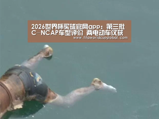 2026世界杯买球官网