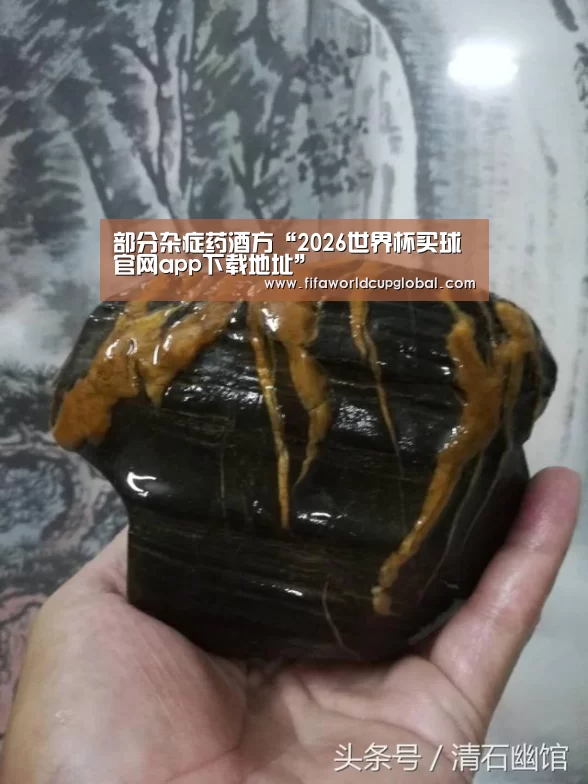 2026世界杯买球官网app下载地址
