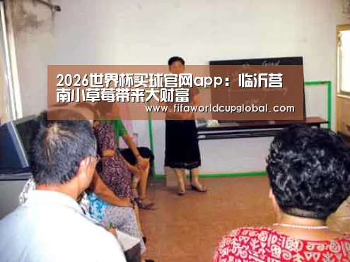 2026世界杯买球官网