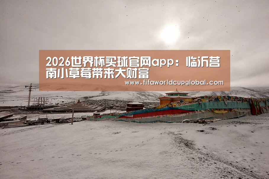 2026世界杯买球官网app