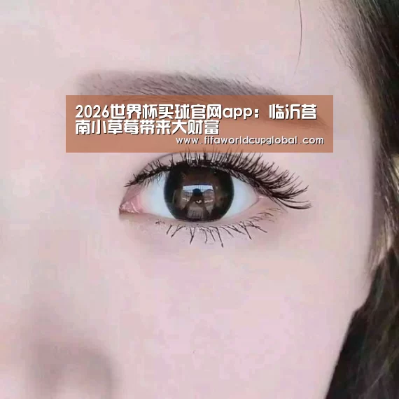 2026世界杯买球官网app