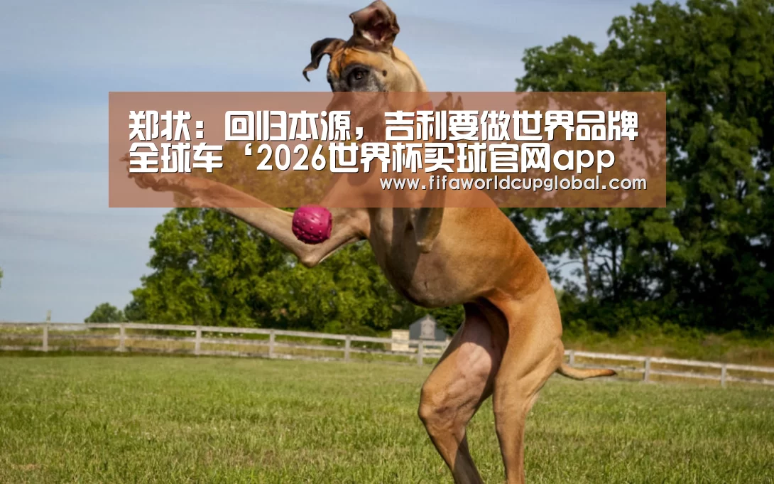 郑状:回归本源,吉利要做世界品牌全球车‘2026世界杯买球官网app下载地址’(图4) 2026世界杯买球官网