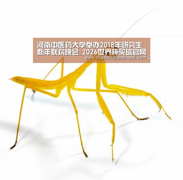 河南中医药大学举办2018年研究生新年联欢晚会_2026世界杯买球官网app(图2) 2026世界杯买球官网app