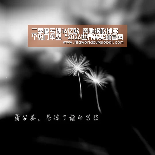2026世界杯买球官网
