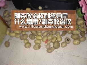 剥夺政治权利终身是什么意思?剥夺政治权利终身能减刑吗?【2026世界杯买球官网app】(图2) 2026世界杯买球官网app下载地址