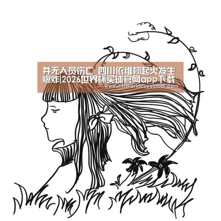 并无人员伤亡 四川依维柯起火发生爆炸|2026世界杯买球官网app下载地址(图4) 2026世界杯买球官网app下载地址