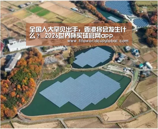全国人大罕见出手,香港将会发生什么?_2026世界杯买球官网app(图1) 2026世界杯买球官网app下载地址
