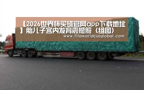【2026世界杯买球官网app下载地址】胎儿子宫内发育震撼照(组图)(图1) 2026世界杯买球官网