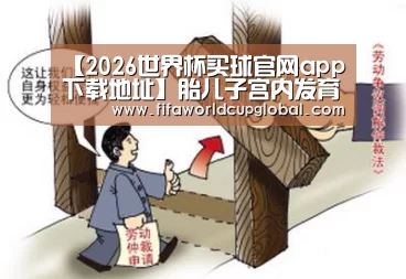【2026世界杯买球官网app下载地址】胎儿子宫内发育震撼照(组图)(图3) 2026世界杯买球官网app下载地址